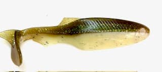Arkansas Shiner